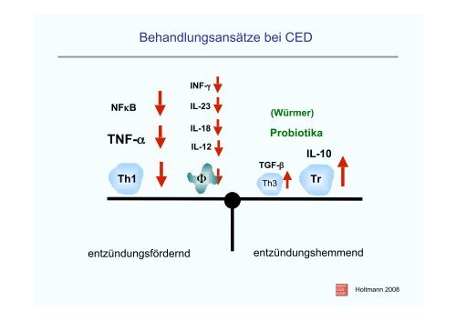 Neue Erkenntnisse über Immunreaktionen der Darmschleimhaut ...