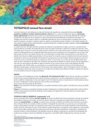 2012-2013 Sem2 TEMA 1 TETRAPOLIS - I TM