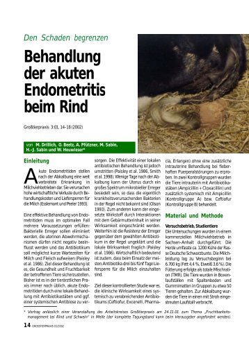 Behandlung der akuten Endometritis beim Rind - Vetion.de