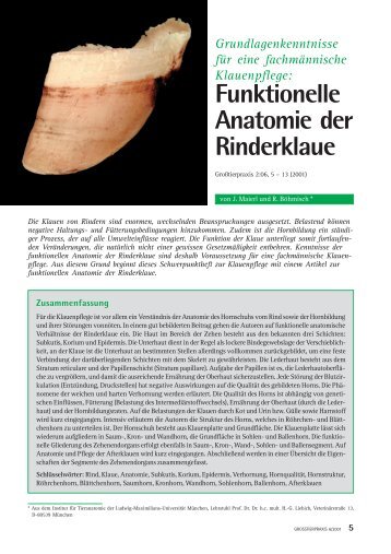 Funktionelle Anatomie der Rinderklaue - Vetion.de