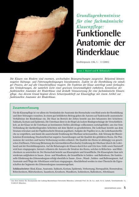 Funktionelle Anatomie der Rinderklaue - Vetion.de