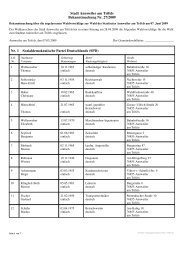 Zulassung der Wahlvorschläge zum Stadtrat (42 KB)