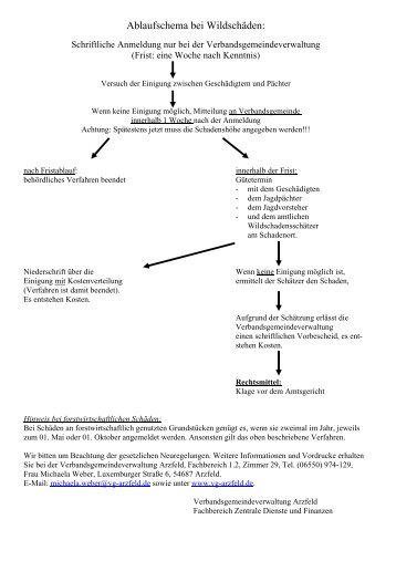 Ablaufschema bei Wildschäden: - Verbandsgemeinde Arzfeld