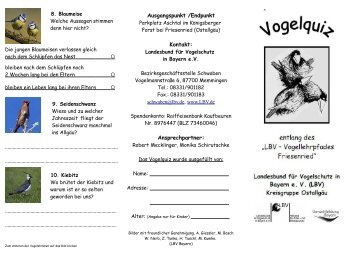 LBV Vogelquiz zum Download