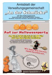 Amtsblatt Nr. 21 vom 26.10.2012 - Verwaltungsgemeinschaft 