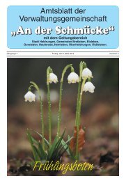 Amtsblatt Nr. 04 vom 02.03.2012 - Verwaltungsgemeinschaft 