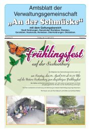 Amtsblatt Nr. 07 vom 12.04.2013 - Verwaltungsgemeinschaft 