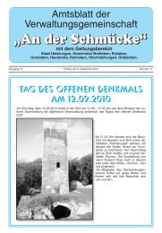 Amtsblatt Nr. 17 vom 03.09.2010 - Verwaltungsgemeinschaft 