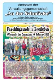 Amtsblatt Nr. 04 vom 01.03.2013 - Verwaltungsgemeinschaft 
