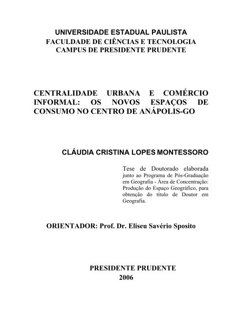 centralidade urbana e comércio informal: os novos espaços - Unesp