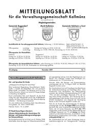 MITTEILUNGSBLATT für die Verwaltungsgemeinschaft Kallmünz