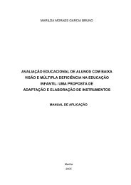 AVALIAÇÃO EDUCACIONAL DE ALUNOS COM BAIXA VISÃO E ...