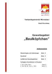 Nr. 6 Katalog Montabaur - Gewerbegebiet Beulköpfchen.pdf