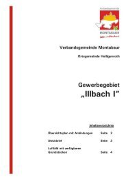Nr. 8 Katalog Heiligenroth - Industriegebiet Illbach I.pdf