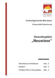 Gewerbegebiet Neuwiese.pdf - Verbandsgemeinde Montabaur