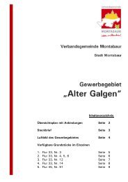 Gewerbegebiet Alter Galgen.pdf - Verbandsgemeinde Montabaur