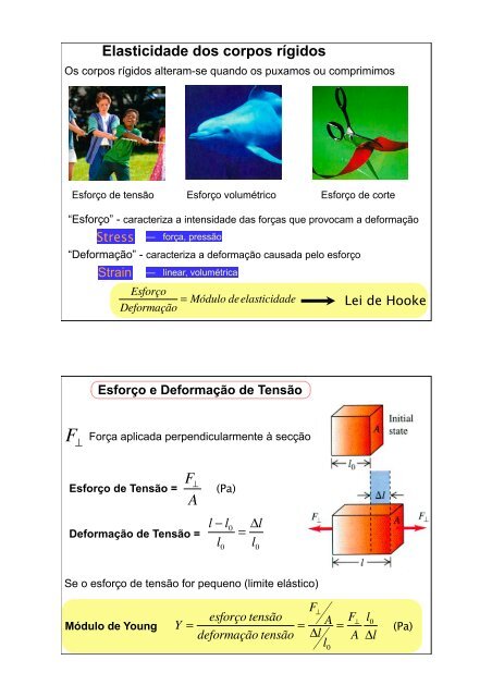 Elasticidade dos corpos rígidos - Figaro