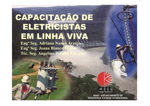 CAPACITAÇÃO DE ELETRICISTAS EM LINHA VIVA