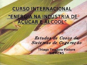 Estudos de Casos de Sistemas de Cogeração - Nest