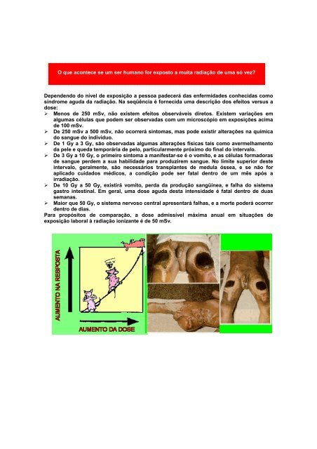 Fundamentos de Radioproteção Conceitos Básicos