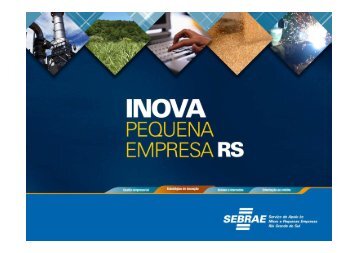 WorkShop Inova PE/RS 2010 - Inova Pequena Empresa RS