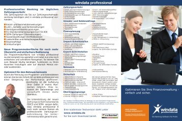 windata 8 professional Flyer (PDF)
