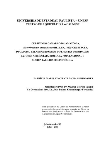 Tese Patricia Maria Contente Moraes-Riodades.pdf - Caunesp