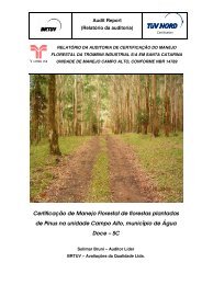 Certificação de Manejo Florestal de florestas plantadas de ... - Brtüv