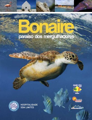 Bonaire - Buddy Dive