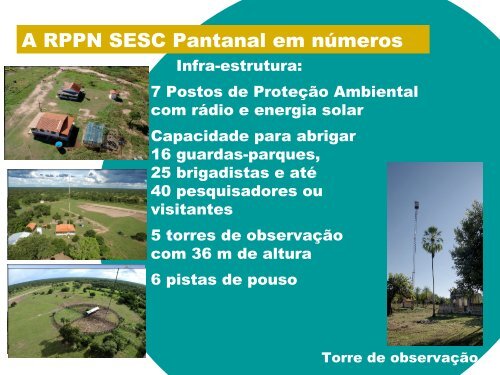 RPPN SESC Pantanal_B - Ministério do Meio Ambiente