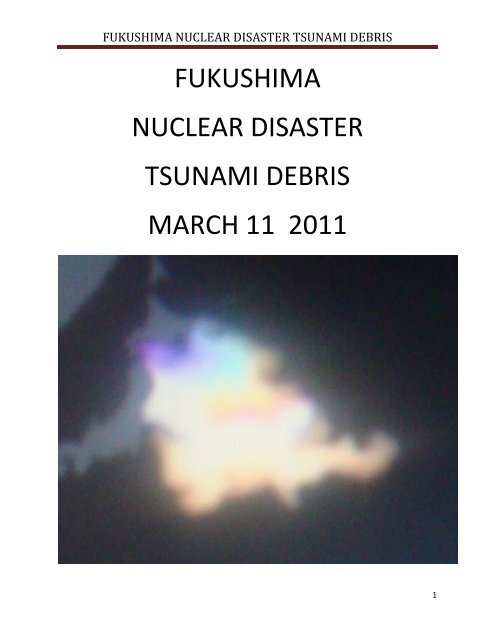 fukushima-nuclear-disaster-tsunami-debris