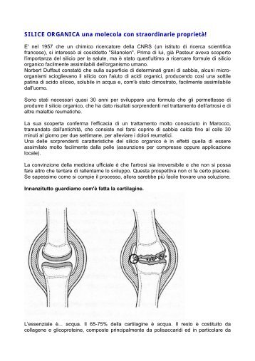 SILICE ORGANICA una molecola con straordinarie proprietà!