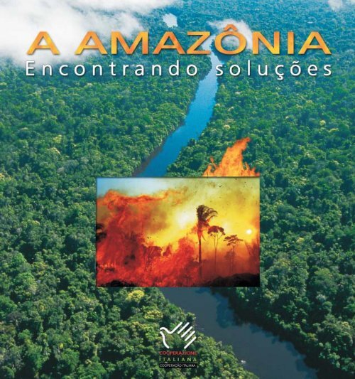 A Amazônia-Encontrando Soluções - Ambasciata d'Italia a Brasilia ...