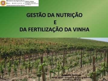 Gestão da nutrição e da fertilização da vinha