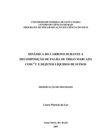 DINÂMICA DO CARBONO DURANTE A DECOMPOSIÇÃO ... - UFSM