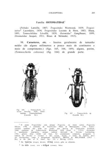 Família OSTOMATIDAE