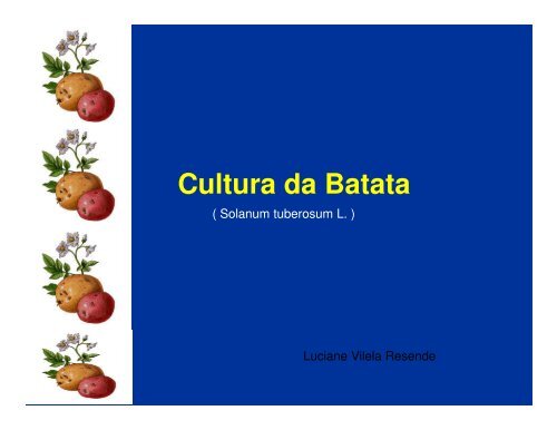 Cultura da Batata 4a AULA [Modo de Compatibilidade].pdf