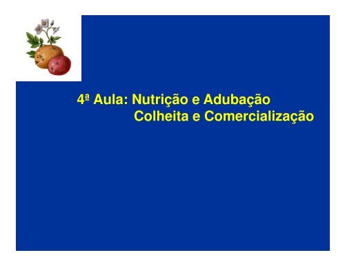 Cultura da Batata 4a AULA [Modo de Compatibilidade].pdf