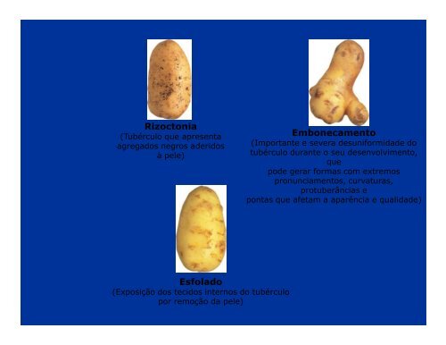 Cultura da Batata 4a AULA [Modo de Compatibilidade].pdf