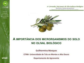 Importância dos microrganismos do solo no olival em