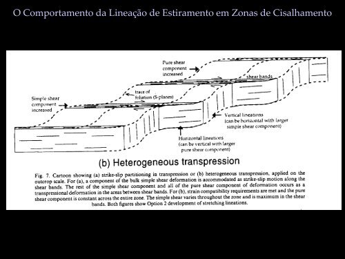 Zonas de Cisalhamento - FGEL