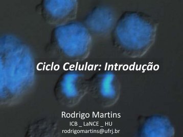 Ciclo Celular: Introdução