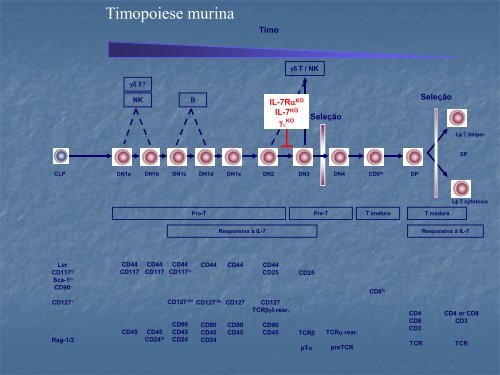 Download File - Laboratório Nacional de Células-tronco Embrionárias