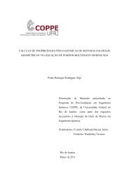 CÁLCULO DE PROPRIEDADES FÍSICO-QUÍMICAS DE ... - UFRJ