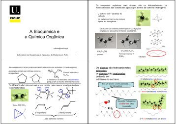 A Bioquimica e a Quimica Organica_PPT.pdf