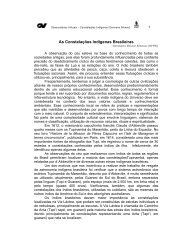 As Constelações Indígenas Brasileiras