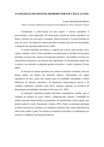 patologias do sistema reprodutor em cães e gatos - Cirurgia ...