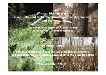 Wildschäden im Wald - Waldbauernverband Nordrhein-Westfalen e. V.