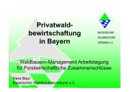 Privatwaldbewirtschaftung in Bayern - Waldbauernverband ...