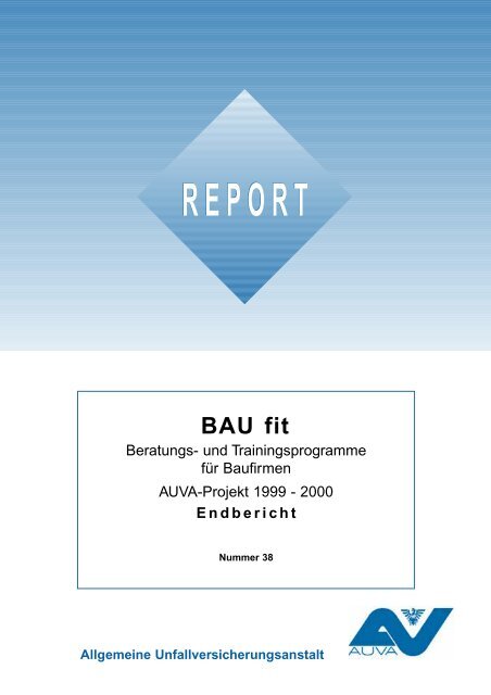 Bau Fit Report 38 - AUVA